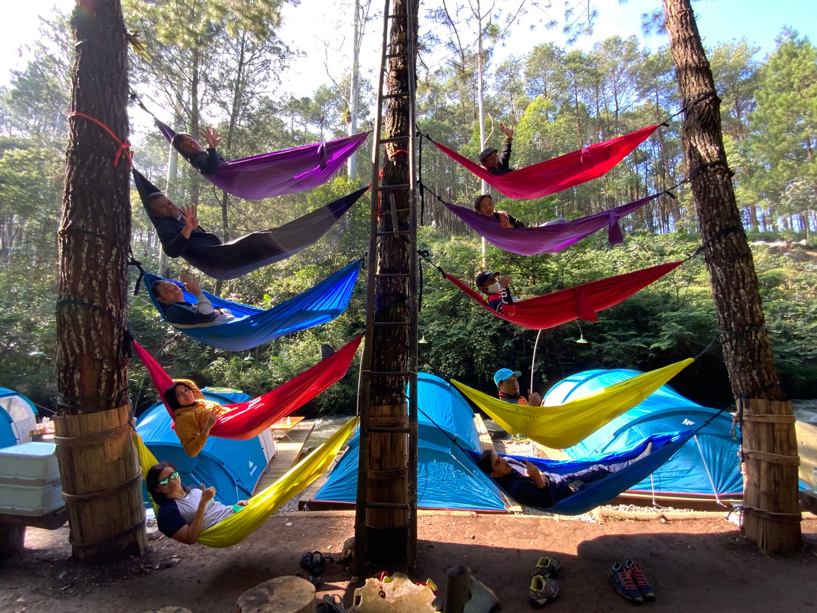 Gallery Pineus Tilu 1 10