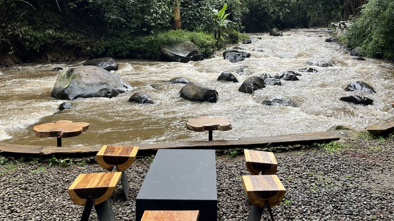 Gallery Pineus Tilu 1 11