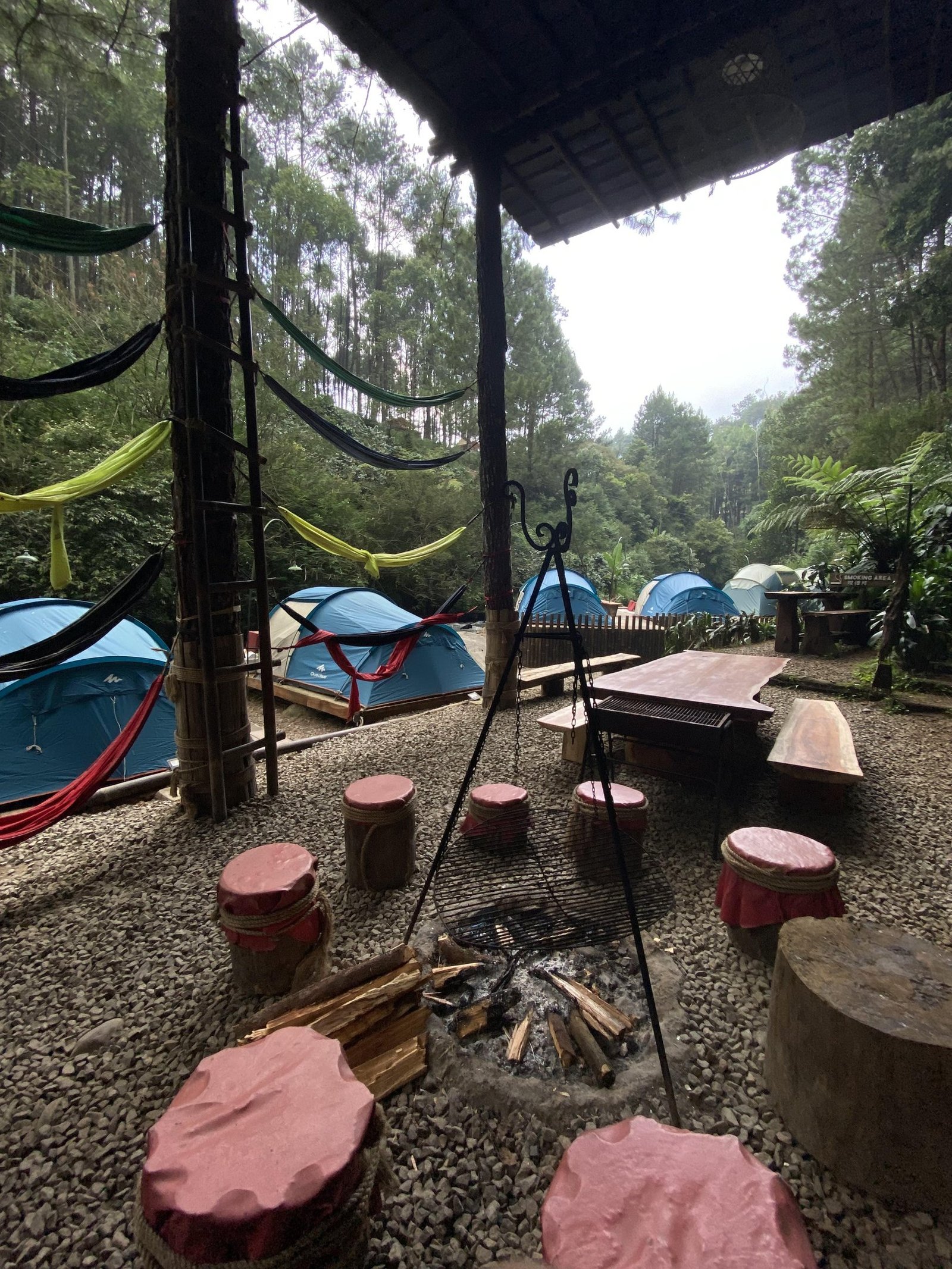 Gallery Pineus Tilu 1 2