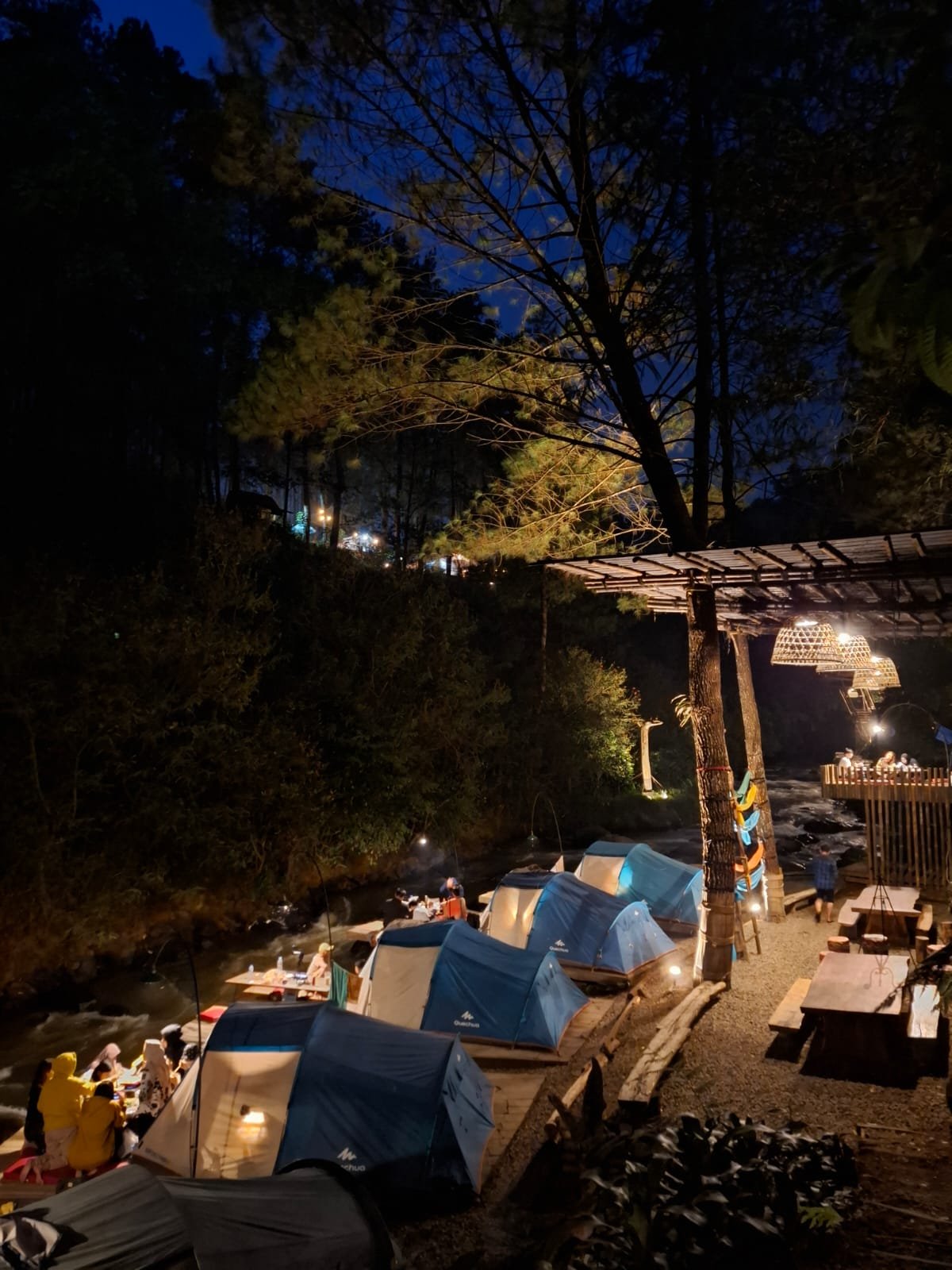 Gallery Pineus Tilu 1 9