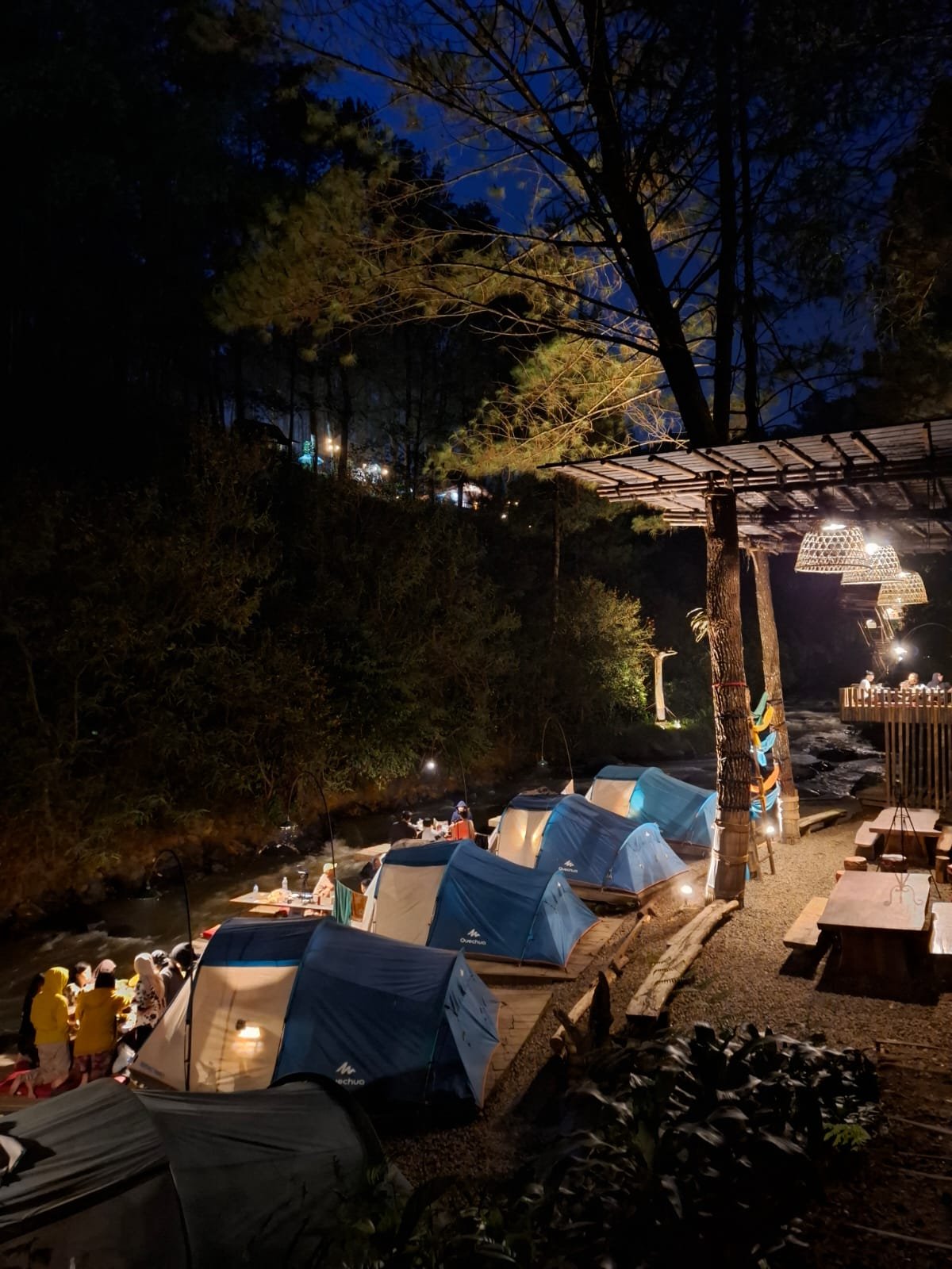 Gallery Pineus Tilu 2 11