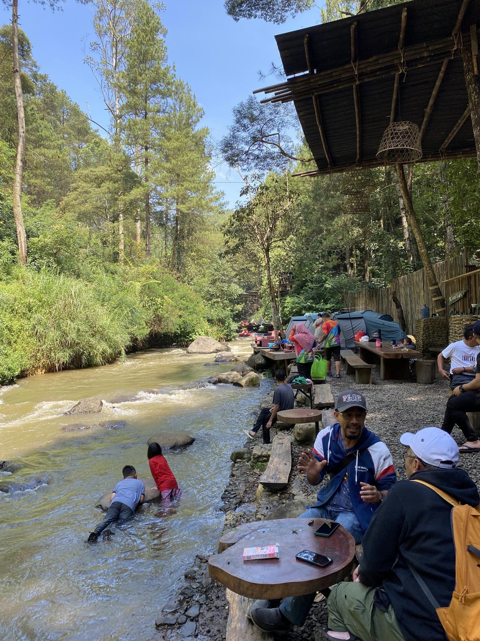 Gallery Pineus Tilu 2 2