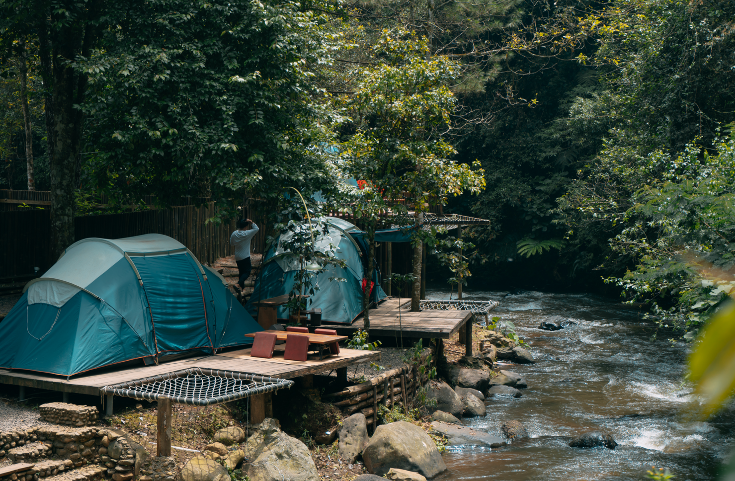 Gallery Pineus Tilu 2 3