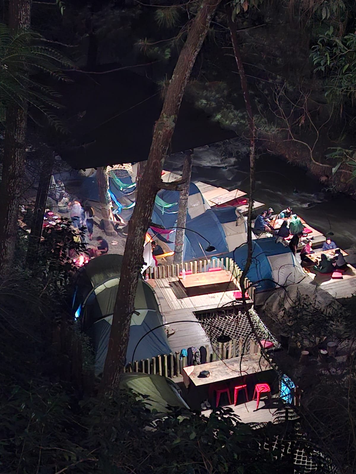 Gallery Pineus Tilu 2 8