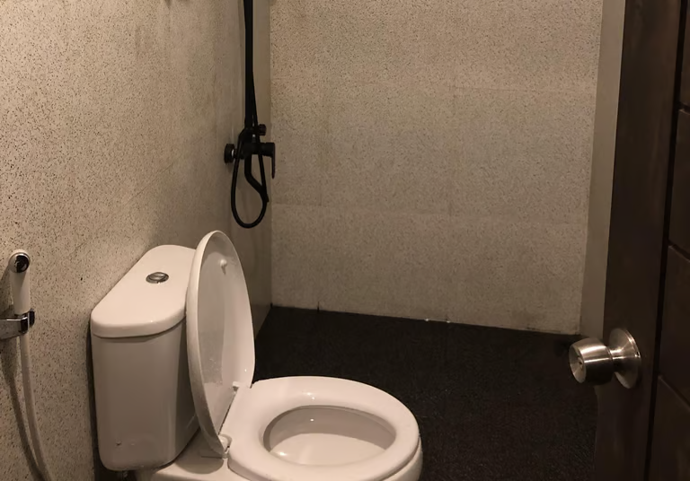 Gallery Pineus Tilu 3 VIP 4