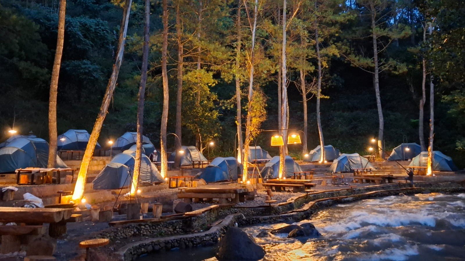 Gallery Pineus Tilu 4 4