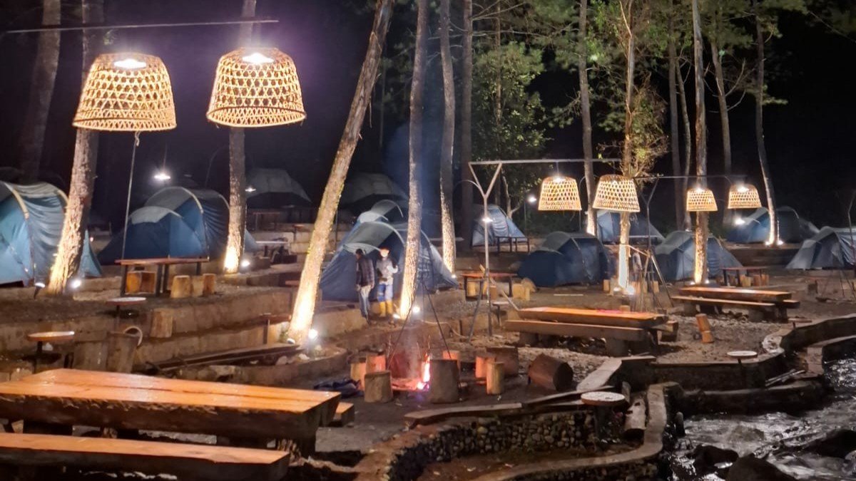 Gallery Pineus Tilu 4 6