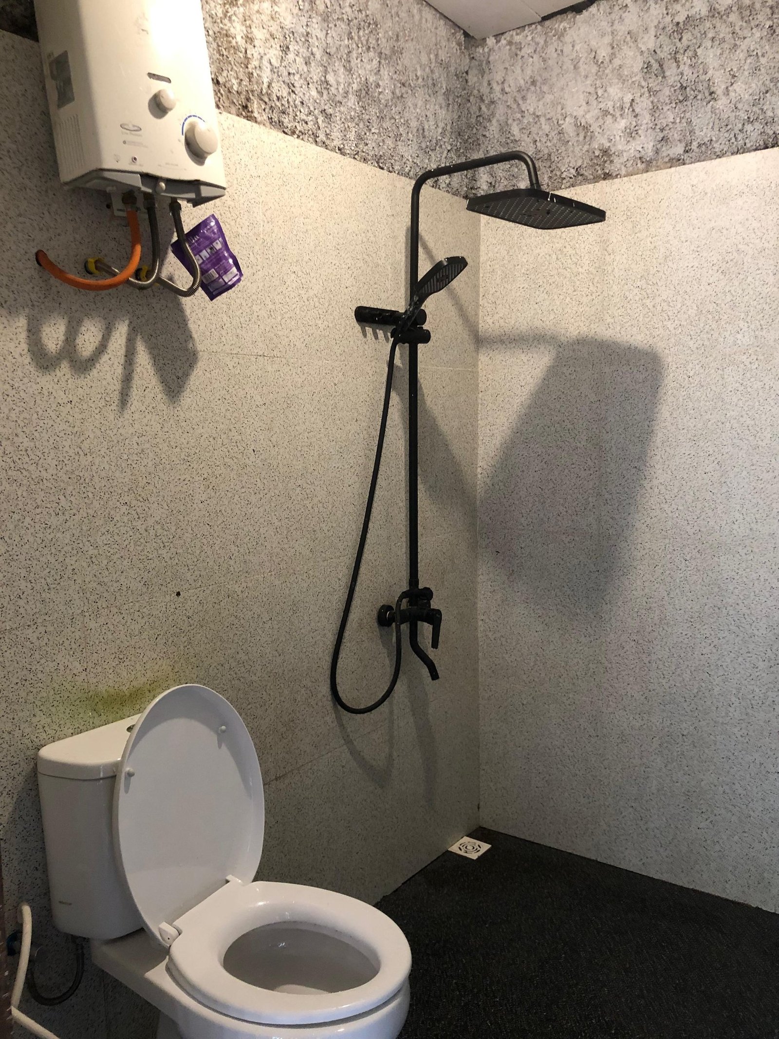 Gallery Pineus Tilu 4 9