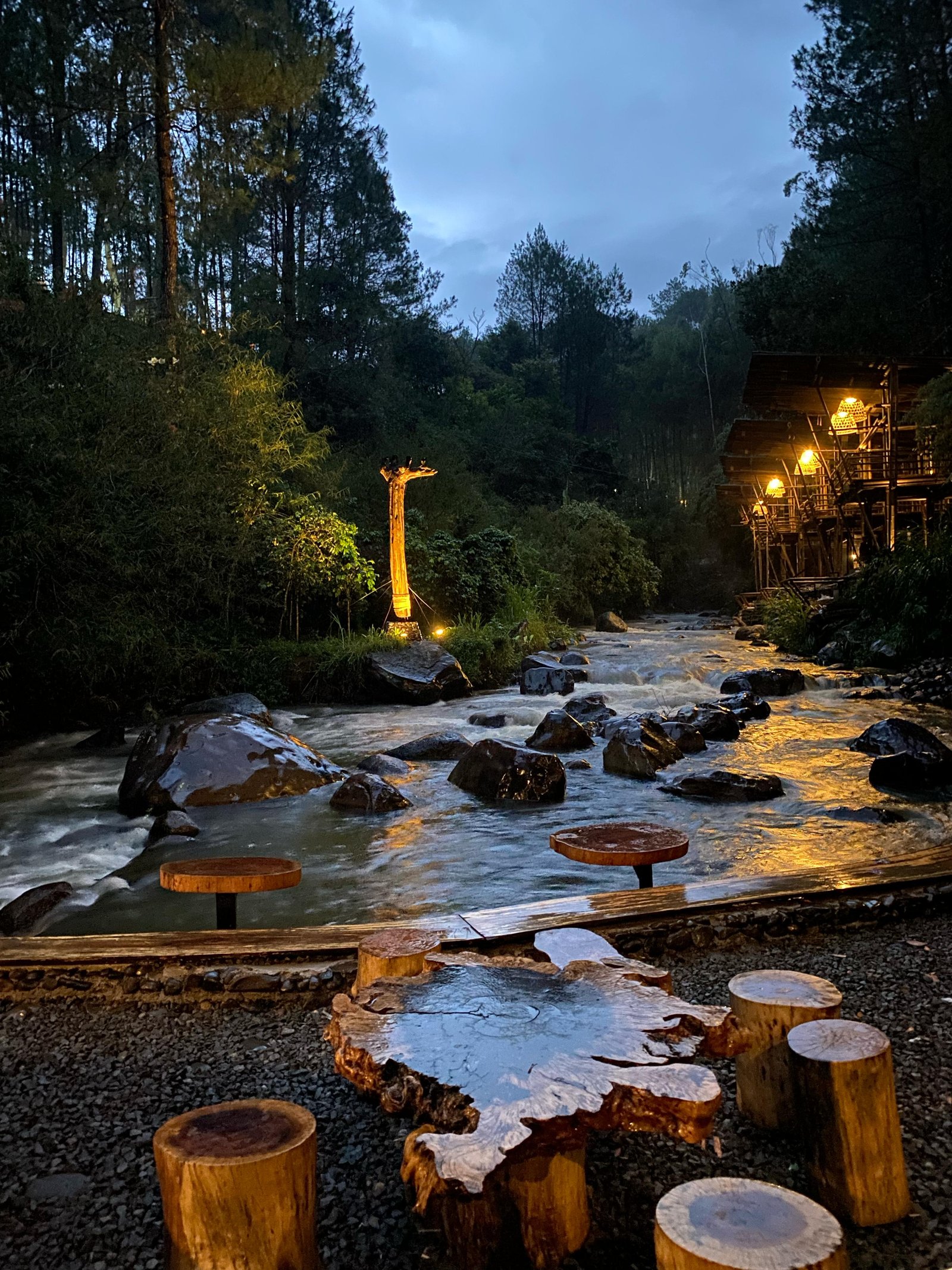 Gallery Cabin VIP 10